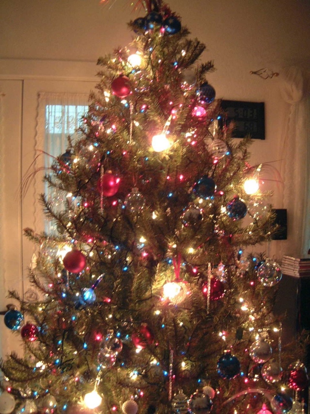 Hildebrand Christmas ScreenSaver/640x480_2001-12 Red White & Blue Christmas 06.jpg